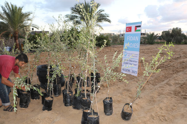 filistin fidan bağışı yardım fotoğrafları